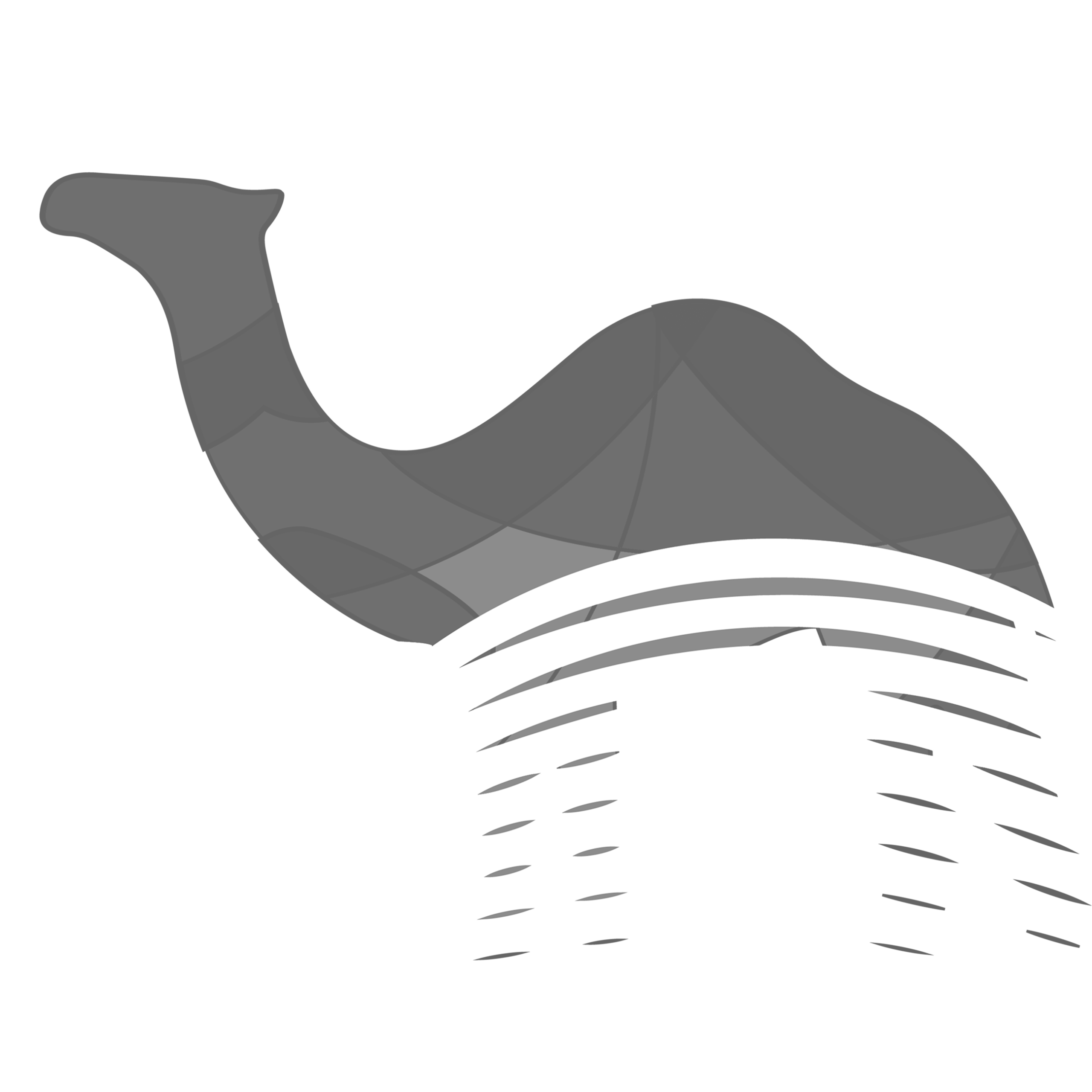 Dark gray background
